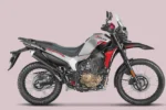 Hero Xpulse 210